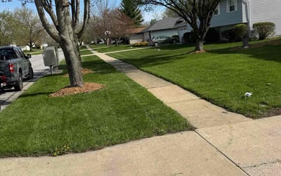 Photo of Sandra N.'s yard after getting lawn care in Lowell, IN