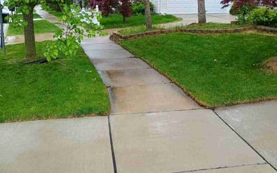 Photo of Max A.'s yard after getting lawn care in Elizabeth, NJ