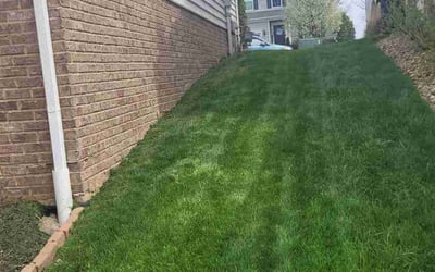 Photo of Rebecca C.'s yard after getting lawn care in Coraopolis, PA