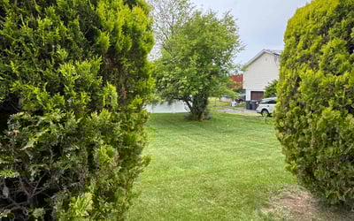 Photo of Shannon M.'s yard after getting lawn care in Canyon Lake, TX