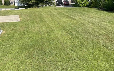 Photo of Benjamin S.'s yard after getting lawn care in Davidson, NC