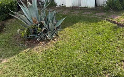 Photo of Brenda B.'s yard after getting lawn care in Milford, CT