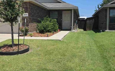 Photo of Jojo H.'s yard after getting lawn care in Springfield, MA