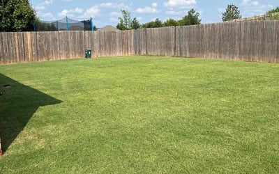 Photo of Tyler B.'s yard after getting lawn care in Lawton, OK