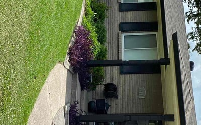 Photo of Timothy H.'s yard after getting lawn care in St. Petersburg, FL