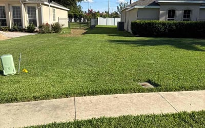 Photo of Rodney C.'s yard after getting lawn care in Edwardsville, IL