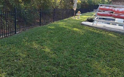 Photo of Andrew S.'s yard after getting lawn care in Grapevine, TX