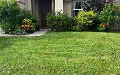 Photo of Andrea M.'s yard after getting lawn care in Clarks Summit, PA