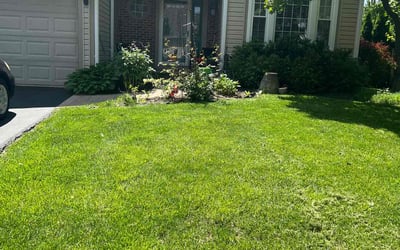 Photo of Kathy P.'s yard after getting lawn care in Elk Grove Village, IL