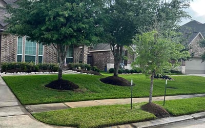 Photo of Denise C.'s yard after getting lawn care in Saint Peters, MO