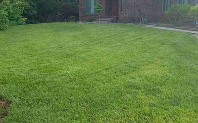 Photo of Cynthia H.'s yard after getting lawn care in Augusta, KS