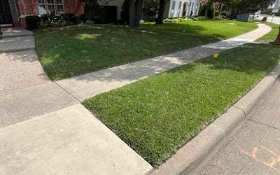 Photo of Josephine V.'s yard after getting lawn care in Sun City Center, FL