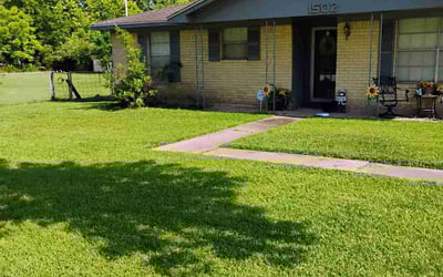 Photo of Naeem P.'s yard after getting lawn care in Bronx, NY