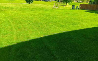 Photo of Bradley K.'s yard after getting lawn care in Waunakee, WI