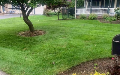 Photo of Larry H.'s yard after getting lawn care in Denver, PA