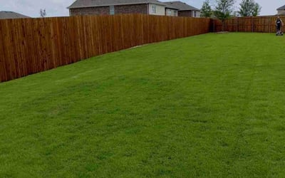 Photo of Brett H.'s yard after getting lawn care in Princeton, TX