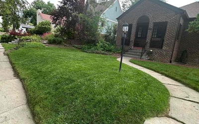 Photo of Barry M.'s yard after getting lawn care in Gainesville, GA