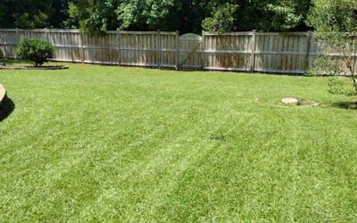 Photo of Barbara A.'s yard after getting lawn care in Supply, NC