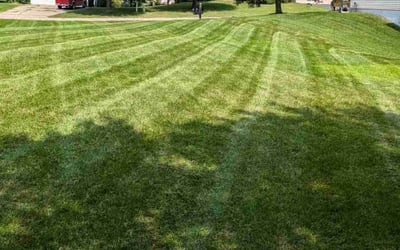 Photo of Rhiannon S.'s yard after getting lawn care in Ham Lake, MN