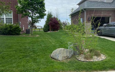 Photo of Minioune L.'s yard after getting lawn care in East Orange, NJ