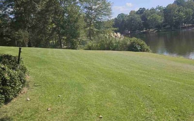 Photo of Dale E.'s yard after getting lawn care in Sharpsburg, GA