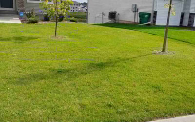 Photo of David S.'s yard after getting lawn care in East Bethel, MN