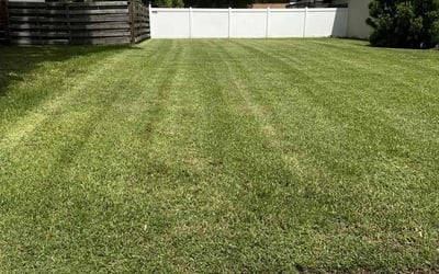 Photo of Clancy C.'s yard after getting lawn care in Cypress, TX