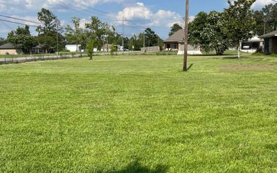 Photo of Vana O.'s yard after getting lawn care in Lake Charles, LA