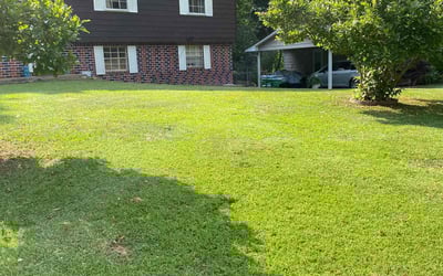 Photo of Alvin O.'s yard after getting lawn care in Neenah, WI