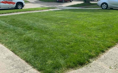 Photo of Loukeisha I.'s yard after getting lawn care in Chagrin Falls, OH