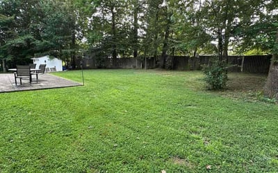 Photo of Justin O.'s yard after getting lawn care in Middletown, NJ