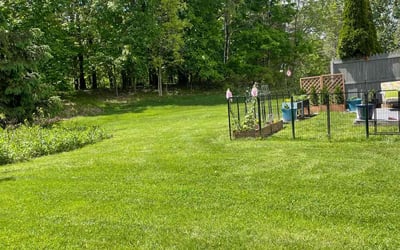 Photo of Jamie M.'s yard after getting lawn care in Watervliet, NY