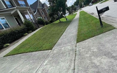 Photo of Diane W.'s yard after getting lawn care in Clark, NJ