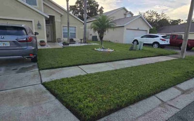 Photo of Sarah G.'s yard after getting lawn care in Cortlandt Manor, NY
