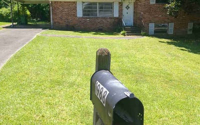 Photo of Dana C.'s yard after getting lawn care in Dunlap, TN