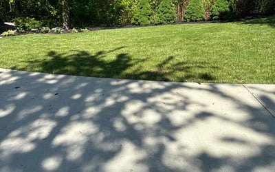 Photo of Jim R.'s yard after getting lawn care in Canonsburg, PA