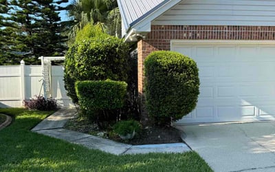 Photo of Cameron M.'s yard after getting lawn care in Charlotte, NC