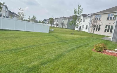 Photo of Lynda A.'s yard after getting lawn care in Plainfield, IL