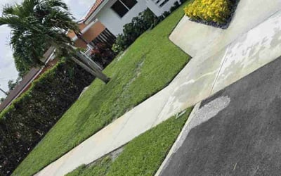 Photo of Joan Z.'s yard after getting lawn care in Miami Gardens, FL