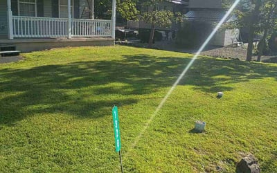 Photo of Barbara M.'s yard after getting lawn care in Blackwood, NJ