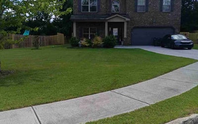 Photo of Sabrina H.'s yard after getting lawn care in Chicago, IL