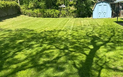 Photo of Jarod S.'s yard after getting lawn care in Arnold, MD