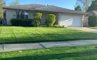 Photo of Sheila D.'s yard after getting lawn care in Orion, MI