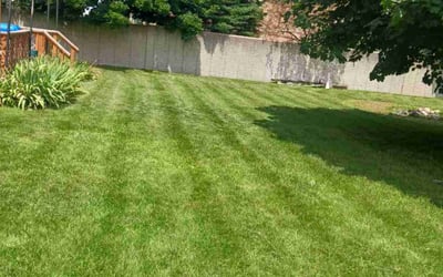Photo of Amy S.'s yard after getting lawn care in Fraser, MI