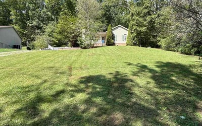 Photo of Jamie G.'s yard after getting lawn care in Lenoir City, TN