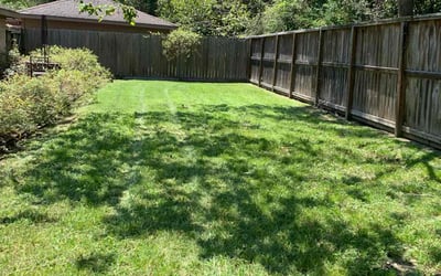 Photo of Ann-Maria C.'s yard after getting lawn care in Webster, TX