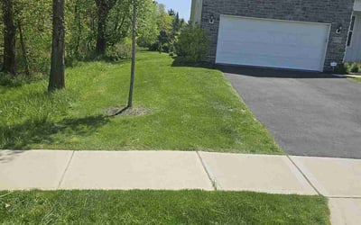 Photo of Zachary M.'s yard after getting lawn care in Heath, OH