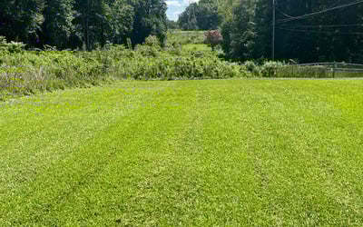 Photo of Dick S.'s yard after getting lawn care in Gastonia, NC