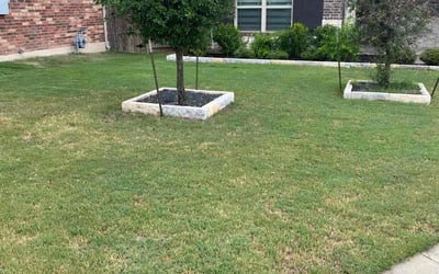 Photo of Daniel K.'s yard after getting lawn care in Portland, ME