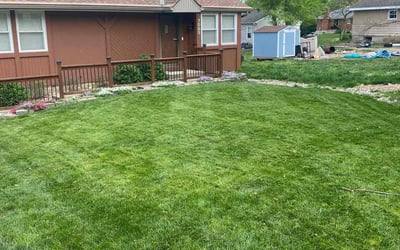 Photo of Denise S.'s yard after getting lawn care in Gladstone, MO
